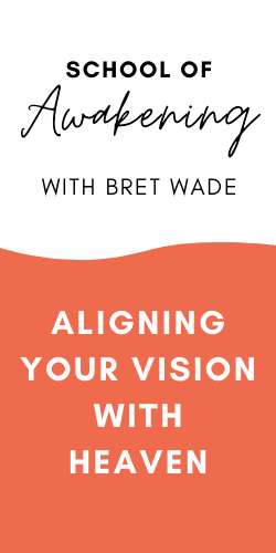 Aligning Your Vision